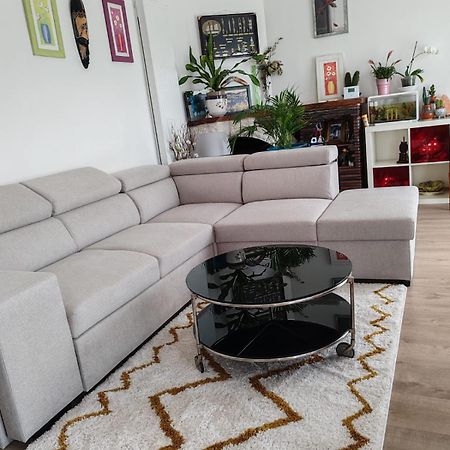 Chambre Chez Habitant 1 Carbon-Blanc Ngoại thất bức ảnh
